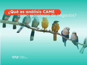 análisis-came