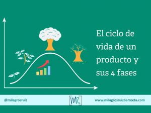 ciclo-de-vida-de-un-producto