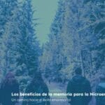 mentoría-para-la-microempresa
