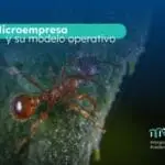 microempresa