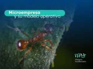 microempresa