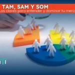TAm SAM SOM