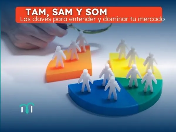 TAm SAM SOM