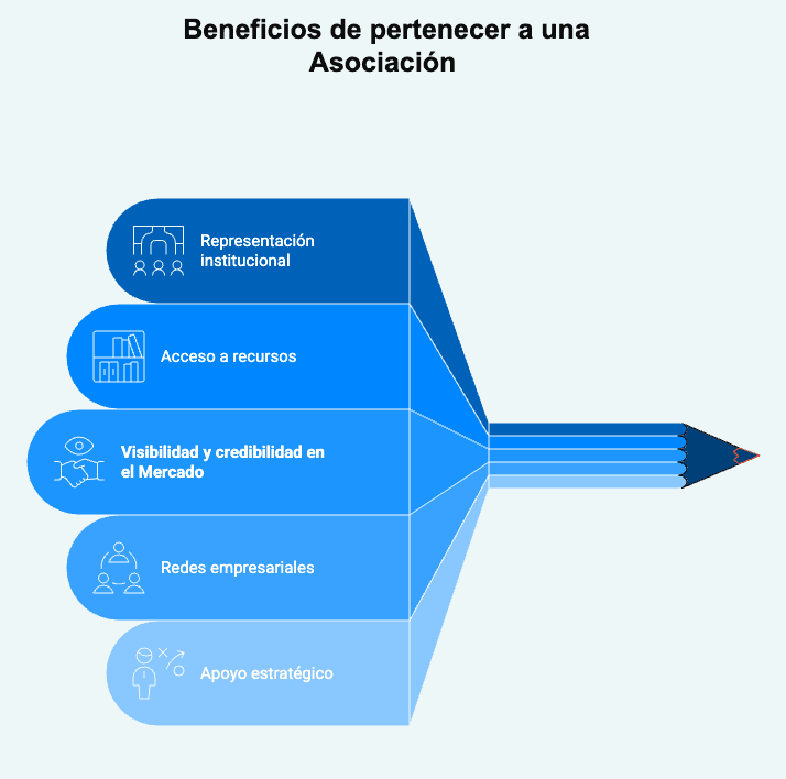 Asociacionismo-y-asociatividad